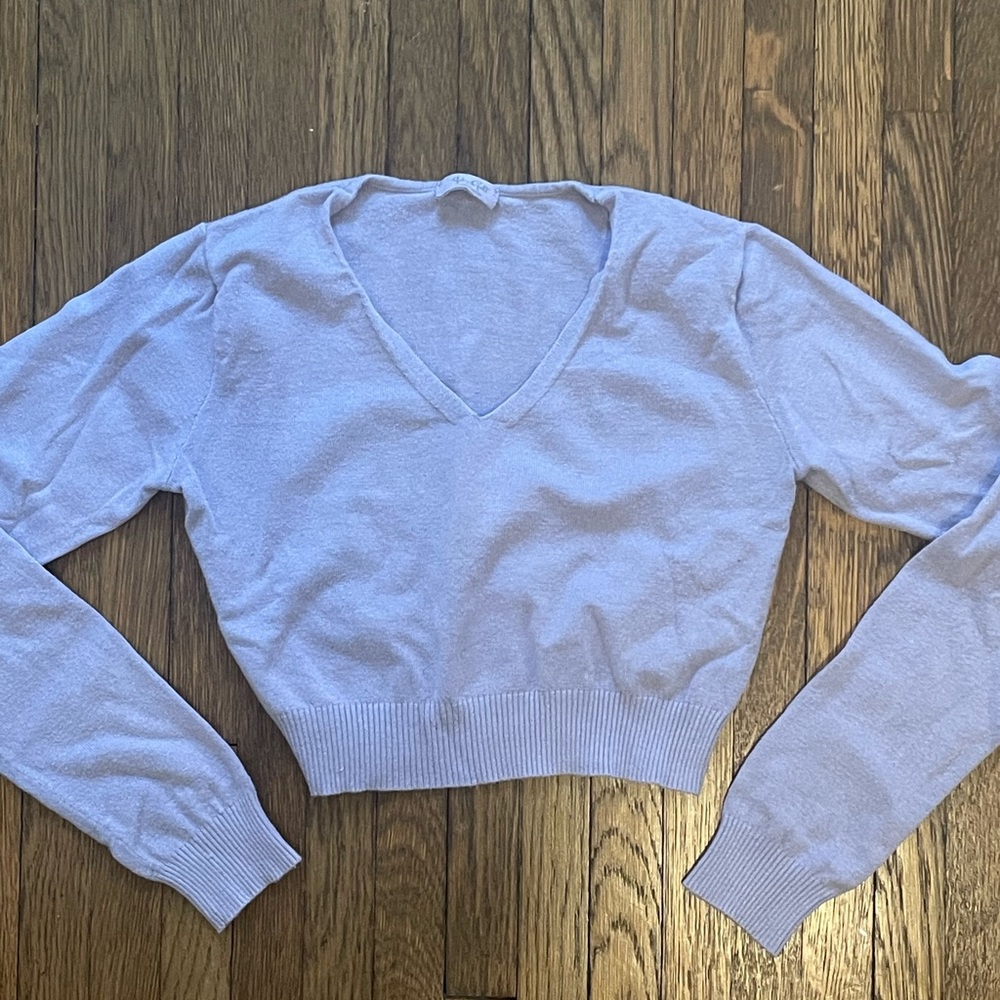 Light Purple brandy Melville long sleeve crop top